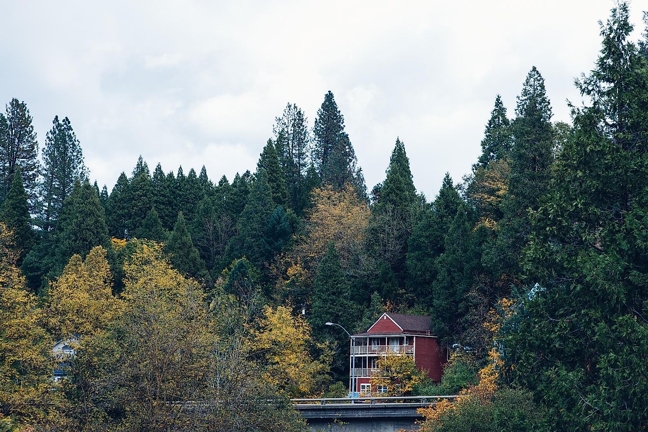 Fall colors in Nevada City