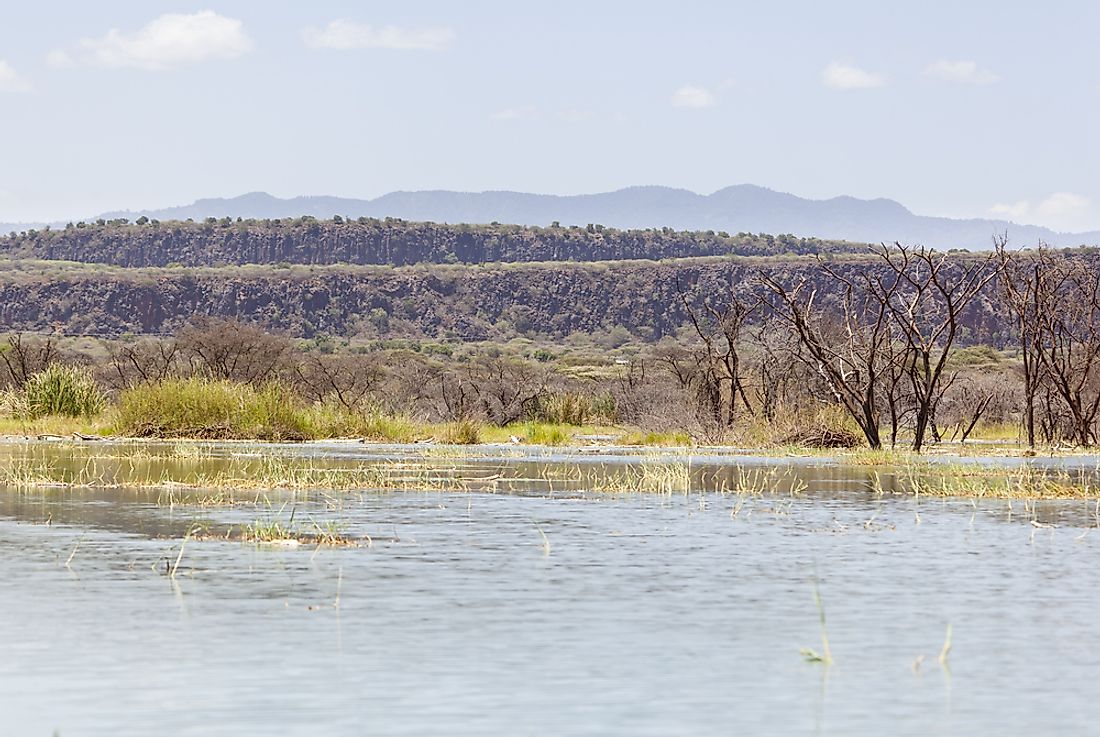 The Kipsigis mark their place of origin near Lake Baringo.