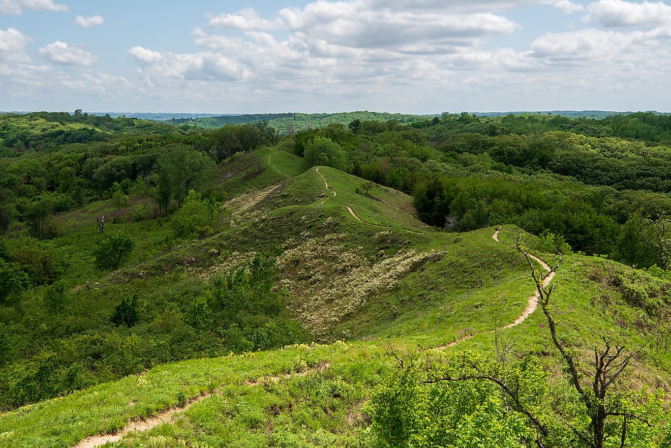 Loess Hills Forest Overlook along the Preparation Loop of the Loess Hills National Scenic Byway