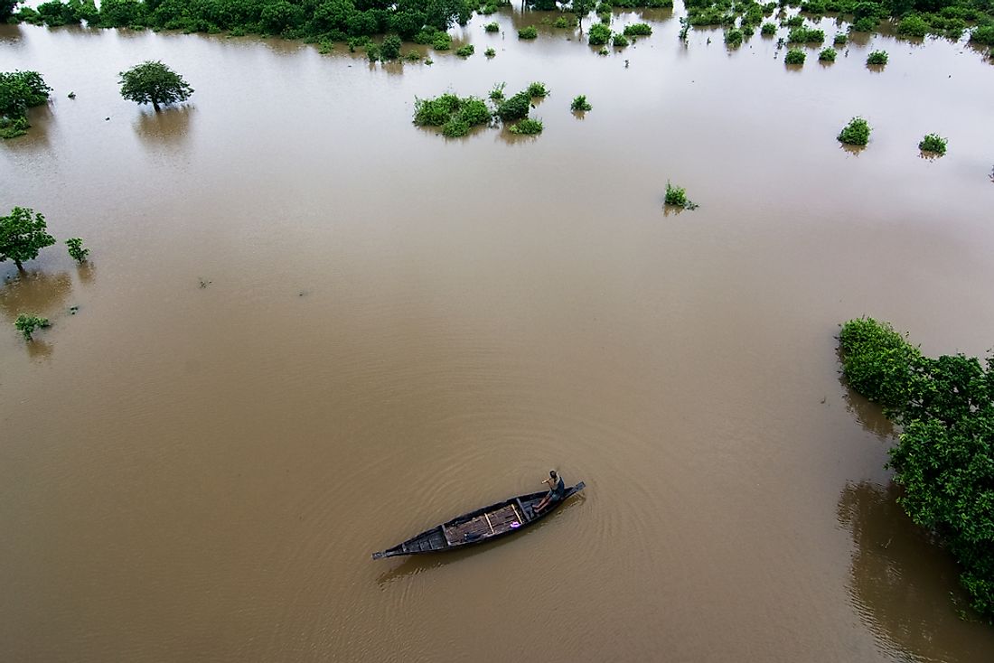 Bangladesh is home to a number of forests that are partially submerged in water. 