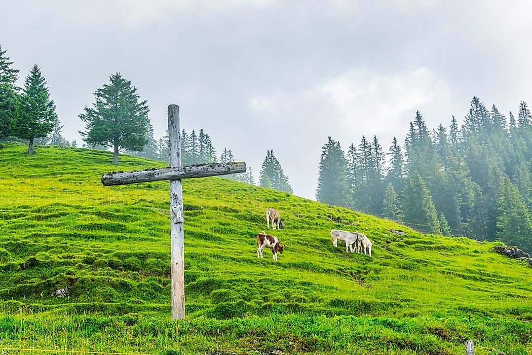 Liechtenstein is an exception among the countries with the lowest urban populations, as it is economically prosperous and barely relies on agriculture for its economy whatsoever.