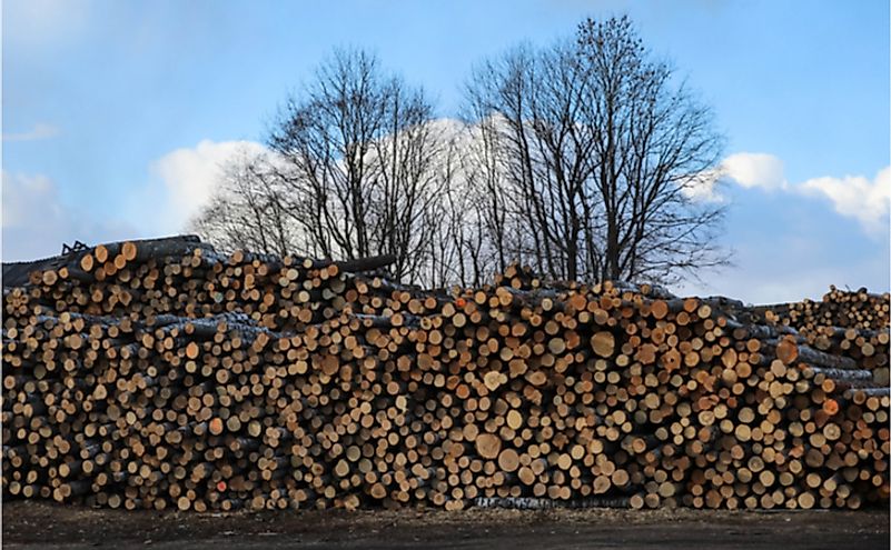 Huge pile of chopped natural wooden logs on a sawmill in Latvia