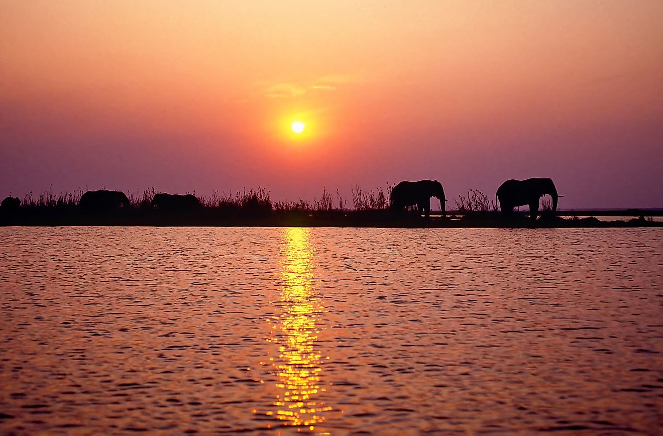 Sillhouttes of elephants along the shores of Lake Kariba.