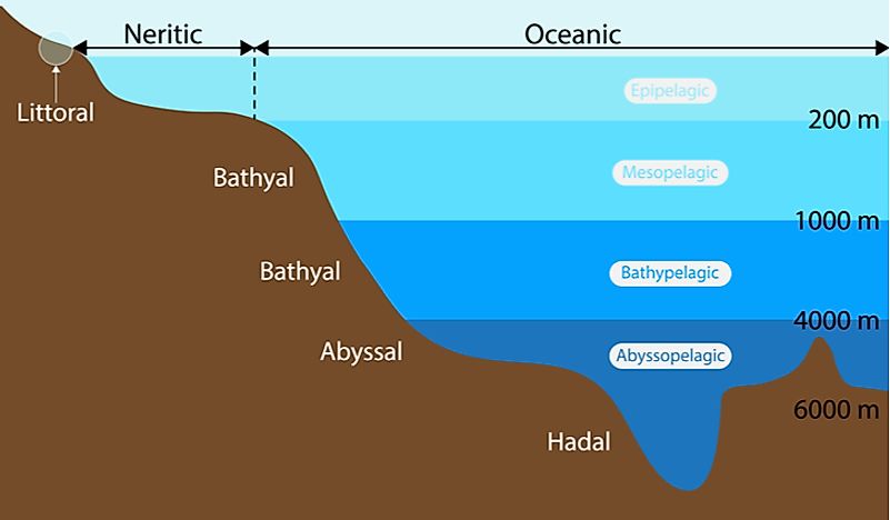 A map showing the ocean's zones. 