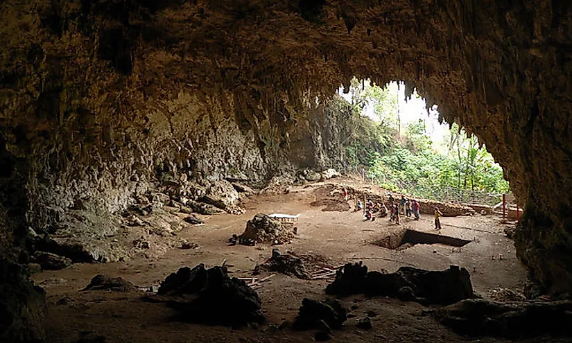 Caves and cave animals have mystified humans for centuries and that has encouraged the hobby of caving.