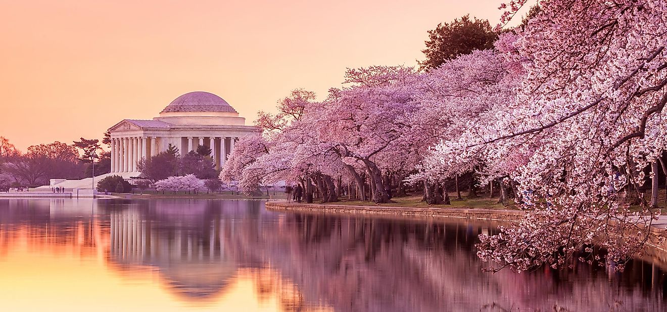 Jefferson Memorial during the National Cherry Blossom Festival. Washington, DC