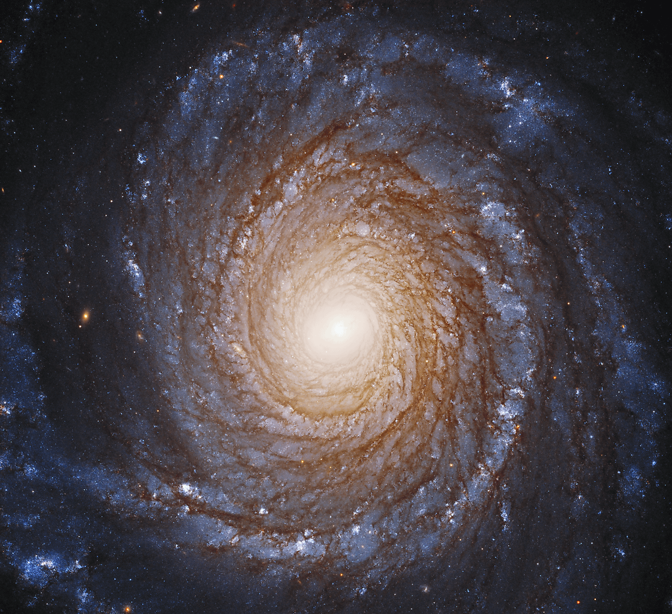A Galaxy in Space