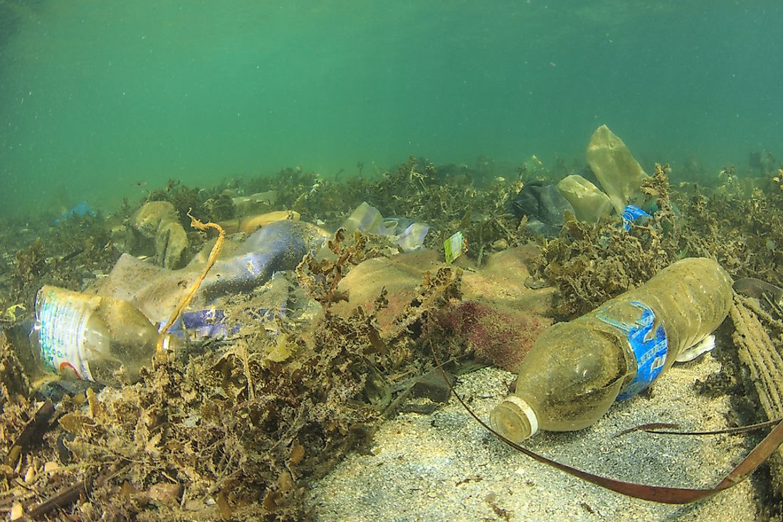 Marine pollution is detrimental to wildlife and ecosystems. 