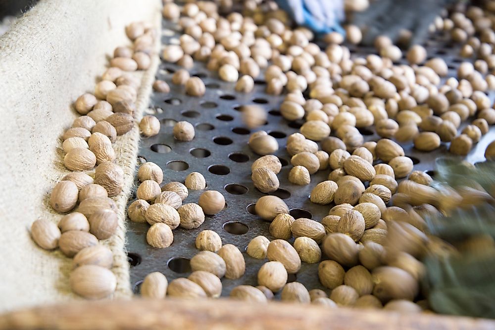 Nutmeg from Grenada. 