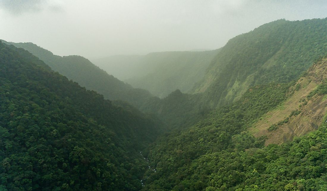Forest cover is one of the important natural resources of Equatorial Guinea.