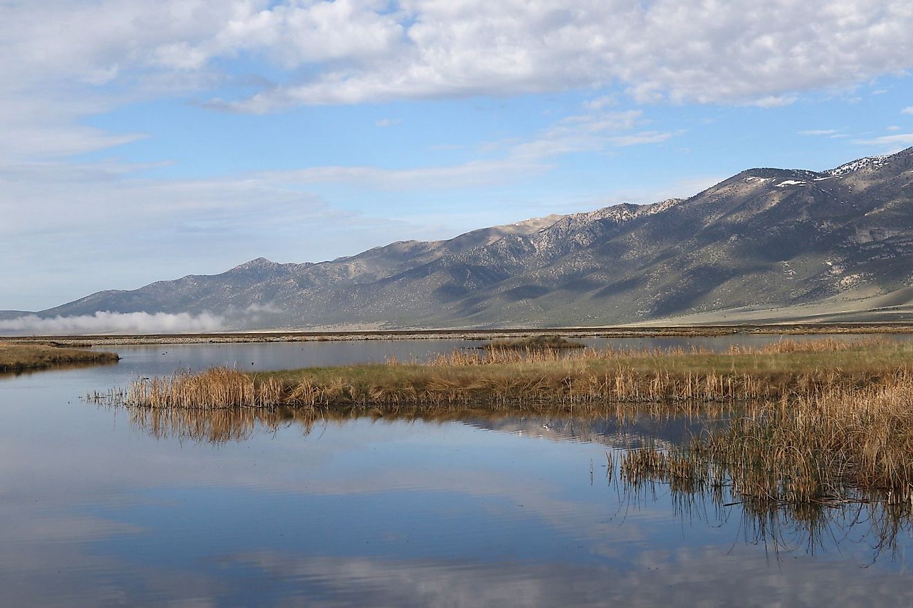 Wetland at Ruby Lake National Wildlife Refuge, Nevada