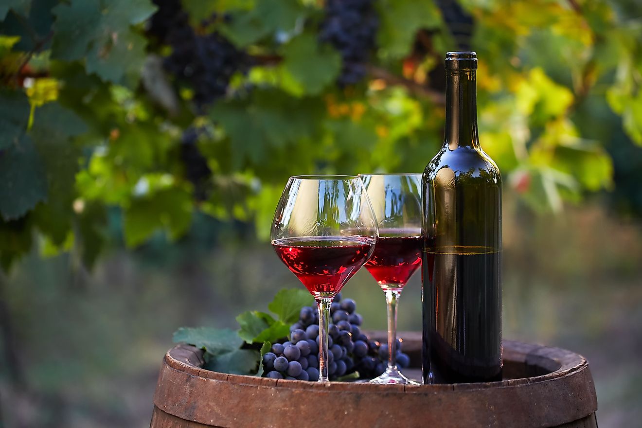 Wine bottle and glasses in a vineyard.