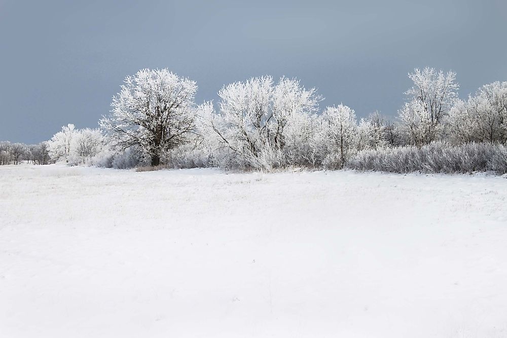 Snow in Minnesota. 