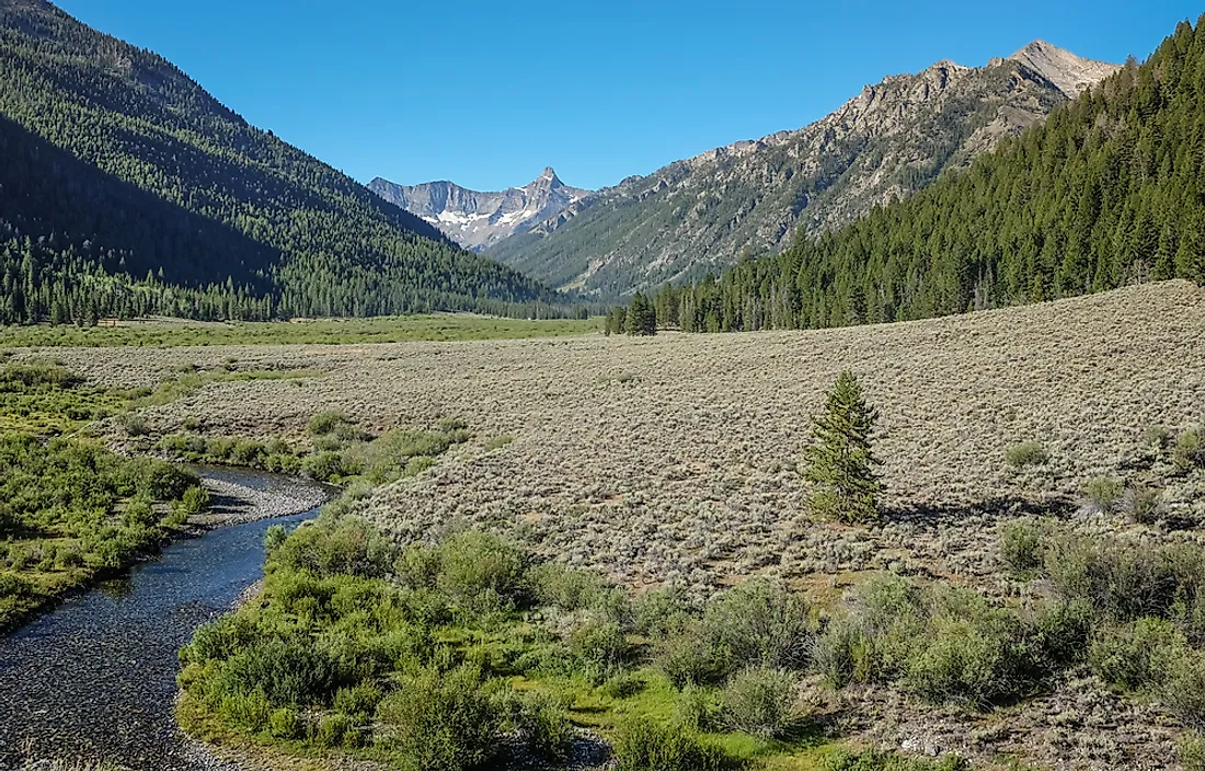 Salmon-Challis National Forest, Idaho. It is the second largest National Forest in the continental United States. 