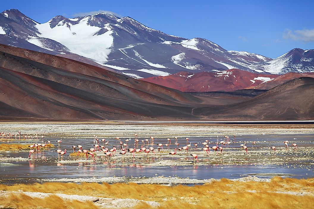 Monte Pissis in Argentina is the second highest volcano in South America.