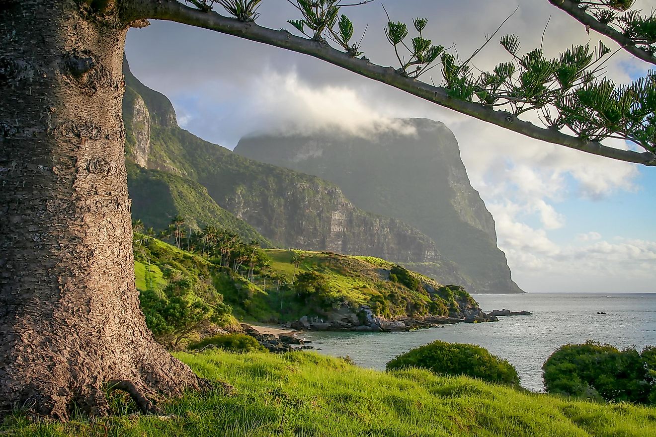 Lord Howe Island - RaonaCharlet