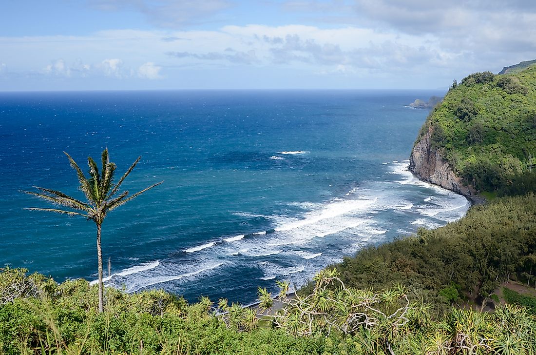 Hawaii and sunshine go together perfectly. 