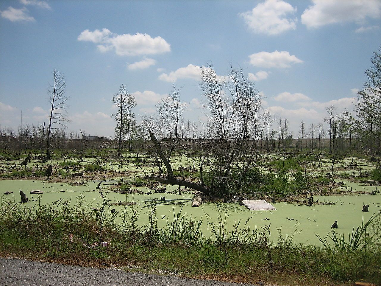 Image credit: Infrogmation of New Orleans/Wikimedia.org