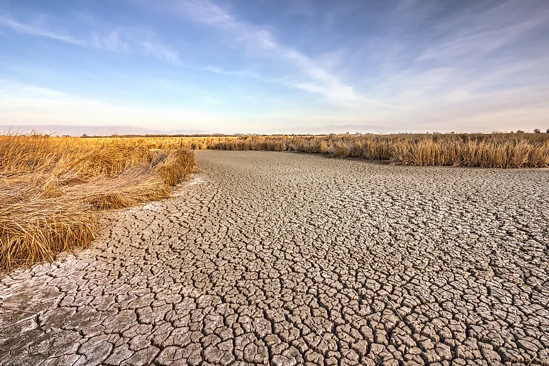 Cracked ground near Fremont, CA. 