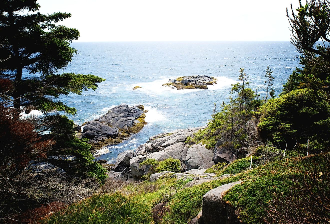 A view from the trail on Monhegan Island, Maine. 