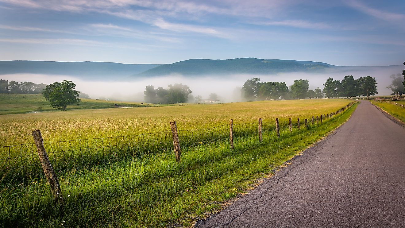 Farm fields along a country road on a foggy morning in the Potomac Highlands of West Virginia.