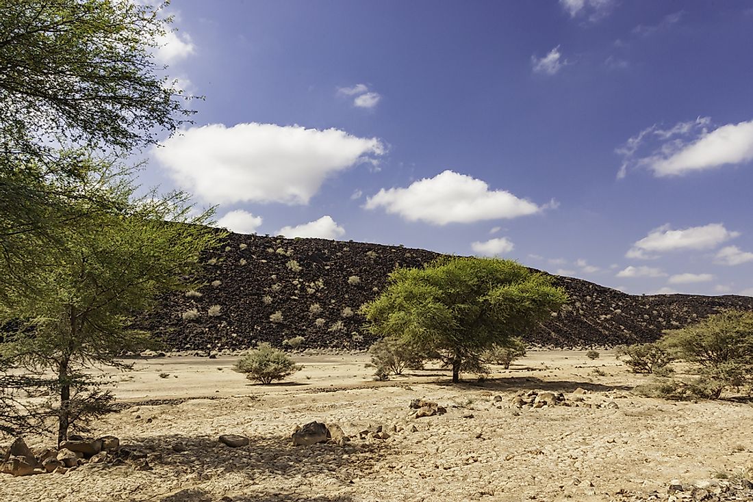 The Grand Bara Desert in Djibouti. 