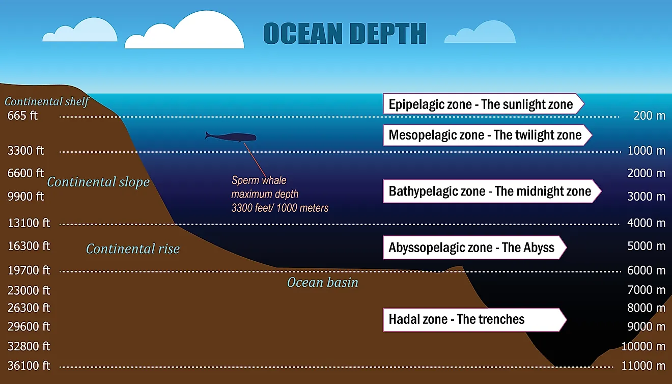 The layers of the ocean. 
