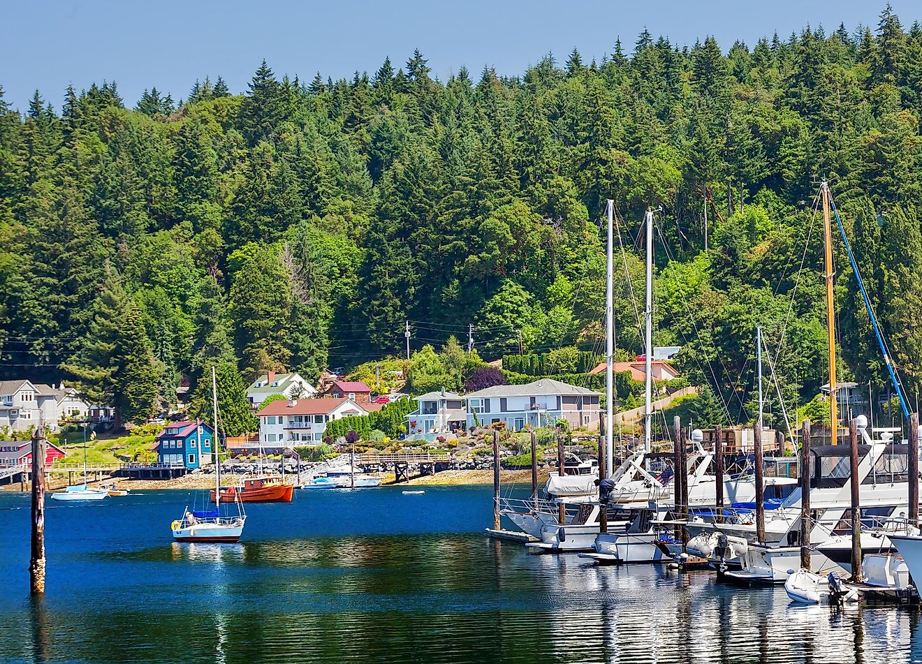 White Sailboats Marina Reflection Gig Harbor Washington State