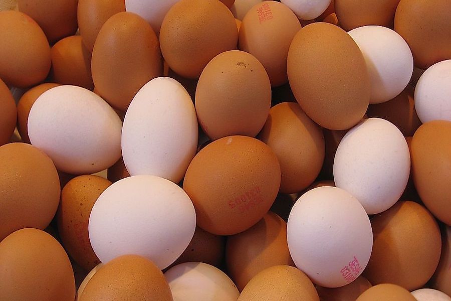 Canadian Provinces By The Number Of Eggs Produced WorldAtlas