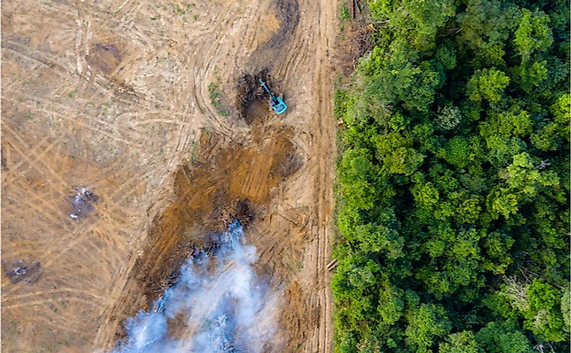 An aerial view of deforestation in a rainforest.