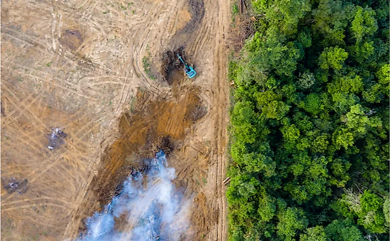 An aerial view of deforestation in a rainforest.