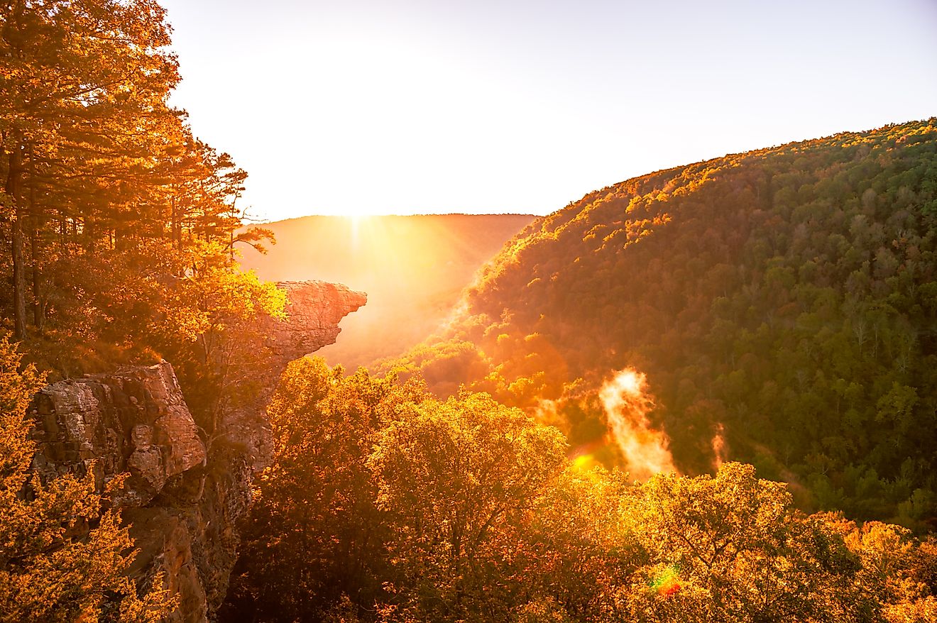 Sunrise at Whitaker Point, known as Hawksbill Crag, during the fall color change of the leaves.