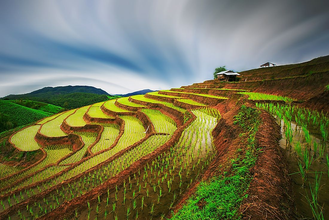 The Mae-Jam rice terraces in Thailand. 