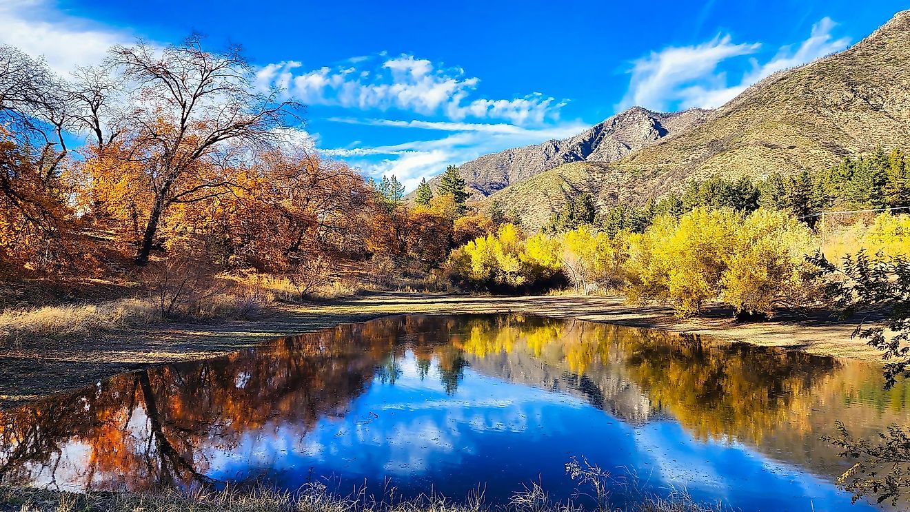 A beautiful stream with calm water at Oak Glen