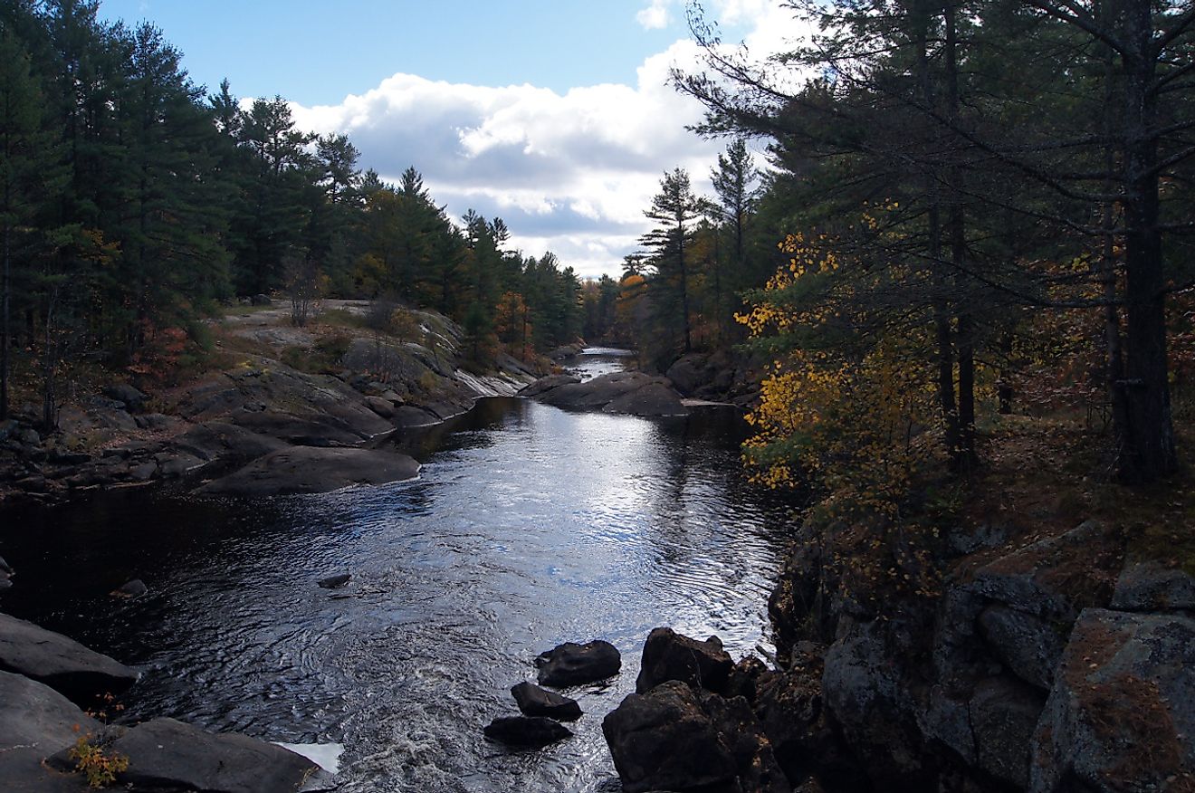 Typical shield landscape in a southern Ontario region with very few old growth trees, due to a history of logging and fires. Black River, Queen Elizabeth II Wildlands Provincial Park. Image credit: Trick17/Wikimedia.org