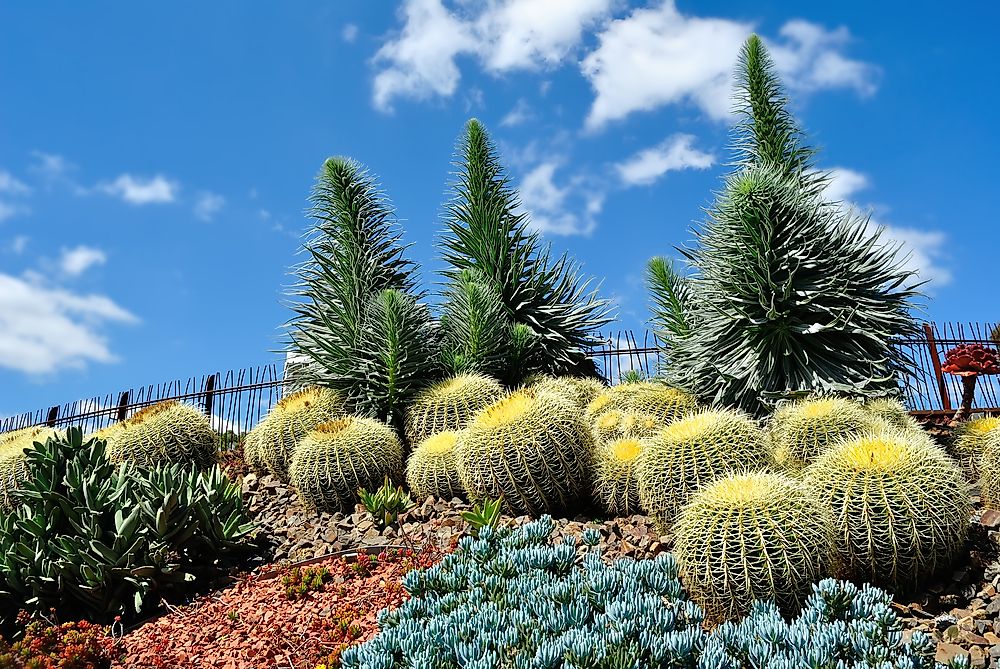 Royal Botanical Gardens in Melbourne. 