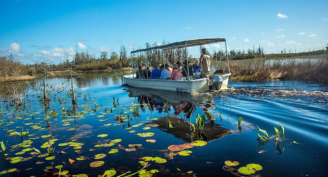 A tour boat winding through the Okefenokee Swamp National Wildlife Refuge in Okefenokee Swamp, Georgia. Editorial credit: Bob Pool / Shutterstock.com