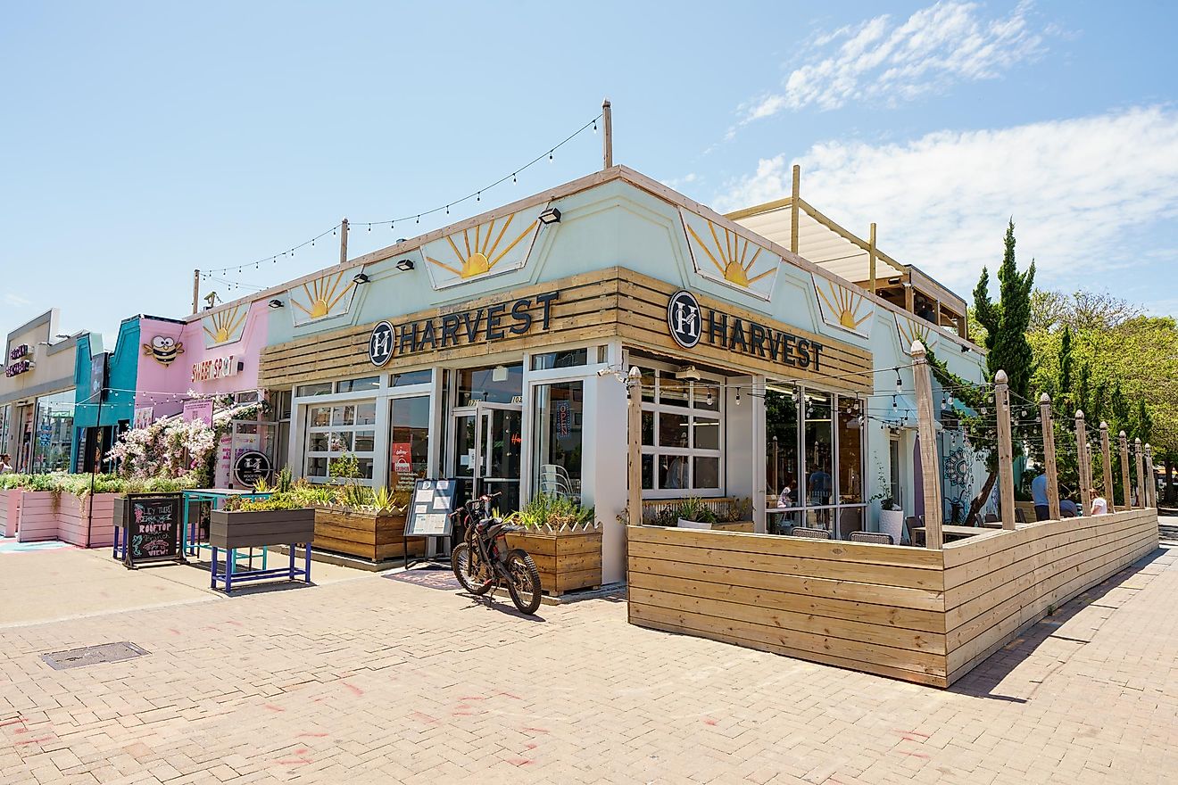 Photo of Harvest Restaurant on Virginia Beach