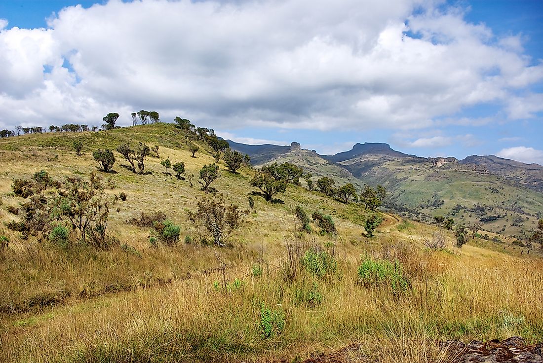 The Ogiek people are indigenous to the Mount Elgon forest region of Kenya. 