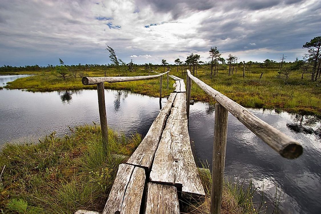 A swampy landscape of the Ķemeri National Park.
