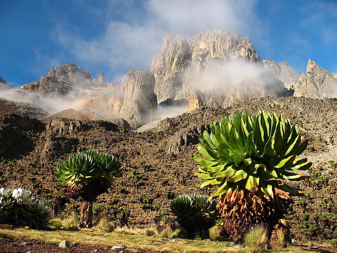 Picture taken in last approach camp on route to the summit of Mount Kenya, Africa's second highest peak.