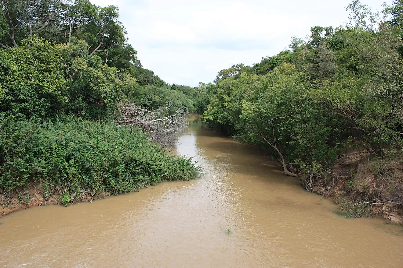 The Comoé River near Folonzo. Image credit: Marco Schmidt via Wikimedia Commons.