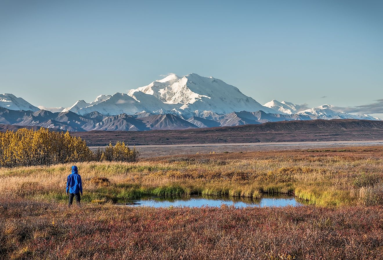 Hiking in Denali National Park, Alaska, USA
