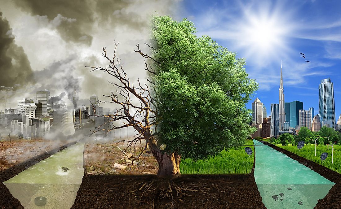 Human actions greatly contribute to global warming and climate change.