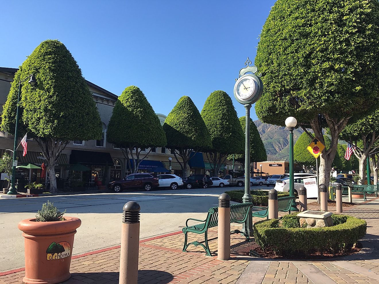 Glendora Village with Ficus trees, By Jaymanuel at English Wikipedia, CC BY-SA 4.0, https://commons.wikimedia.org/w/index.php?curid=61720607