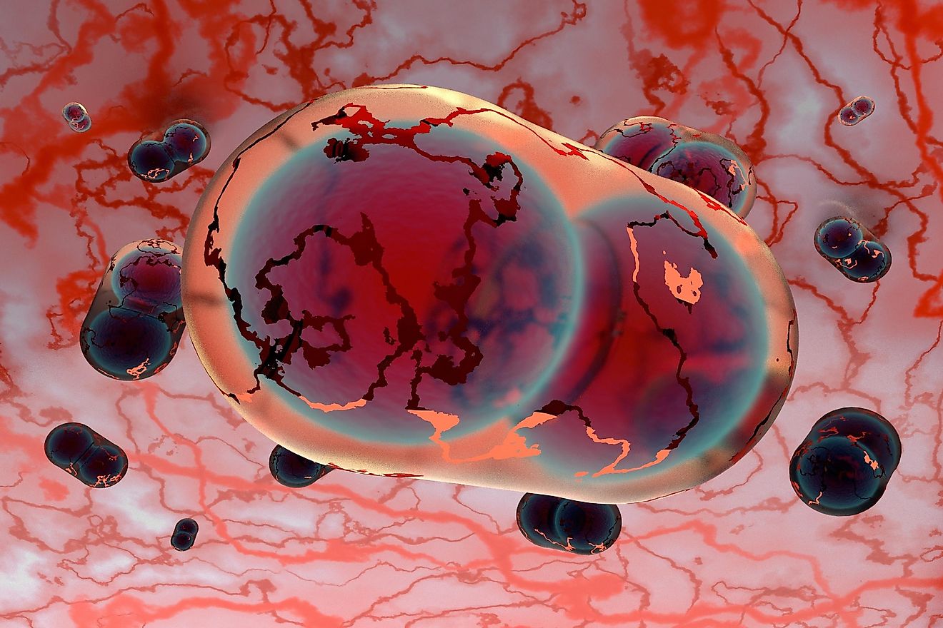 What Are Bioweapons? - WorldAtlas