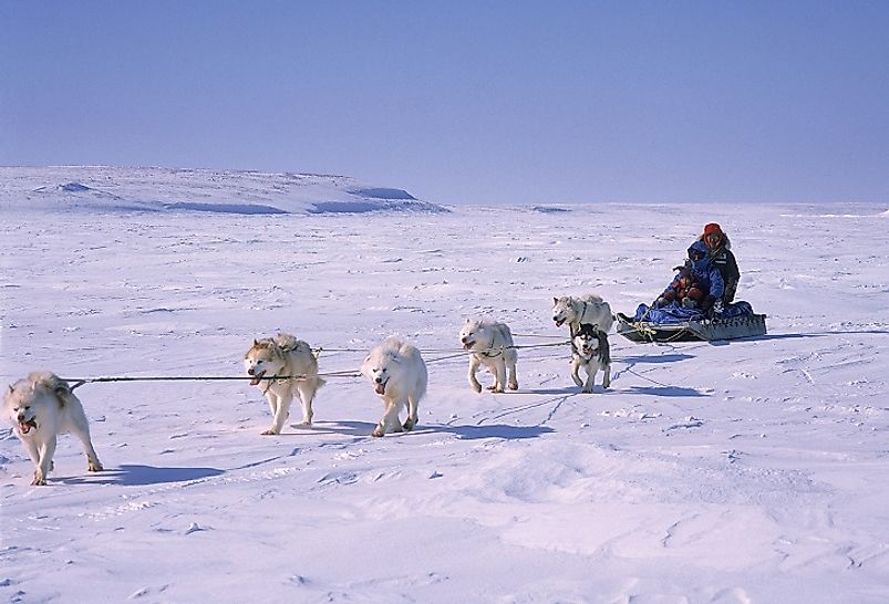 Dog sledding in Cambridge Bay, Nunavut, Canada.
