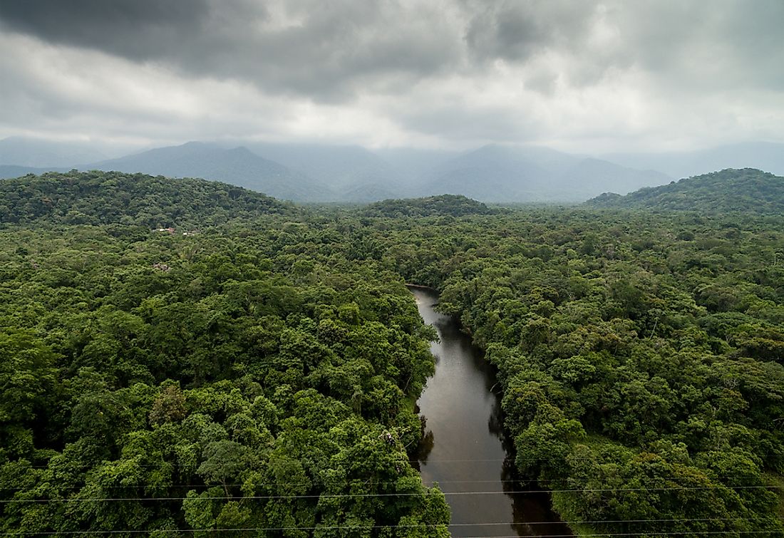 The Amazon River runs through Ecuador.