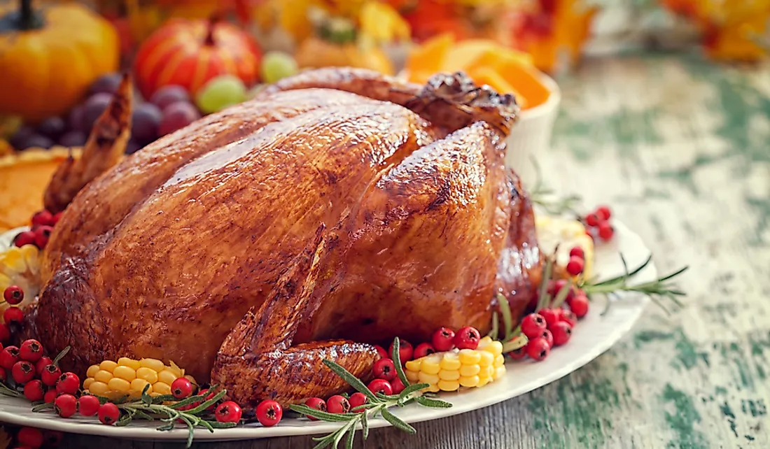 A turkey dinner is an American Thanksgiving tradition.