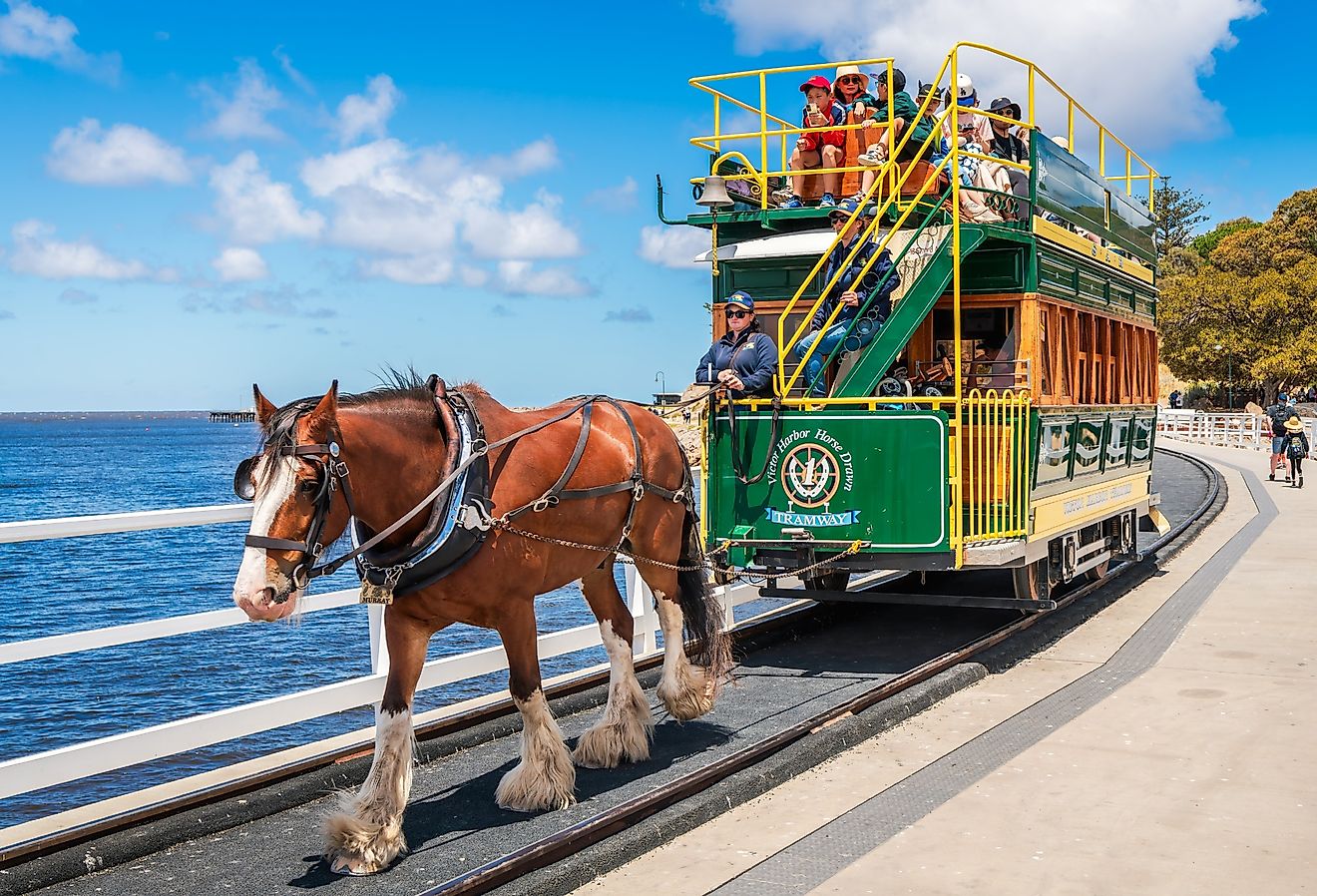 Victor Harbor Horse Drawn Tram, Victor Harbor, South Australia. Image credit myphotobank.com.au via Shutterstock